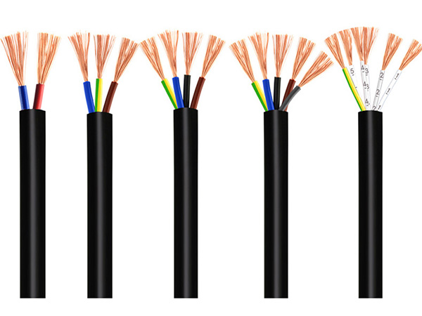  What is the difference between RVV line and BVR line? 