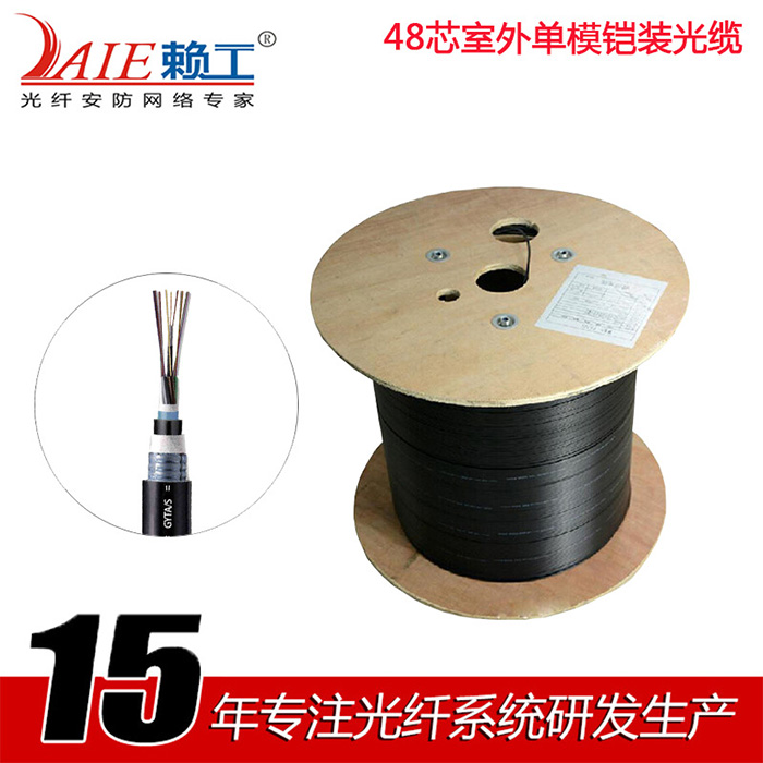 48 core outdoor single-mode armored cable